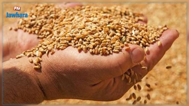 الحرب على أوكرانيا و تأثيرها على تزود تونس بالحبوب : وزارة الفلاحة توضح 