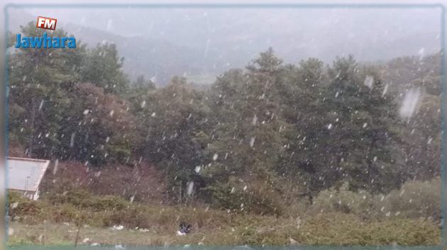 تساقط الثلوج على مرتفعات عين دراهم