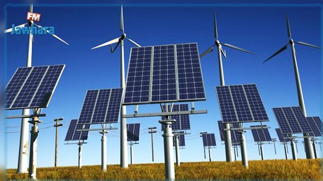 البنك الدولي مستعد للاستثمار في مجال الطاقات المتجددة في تونس