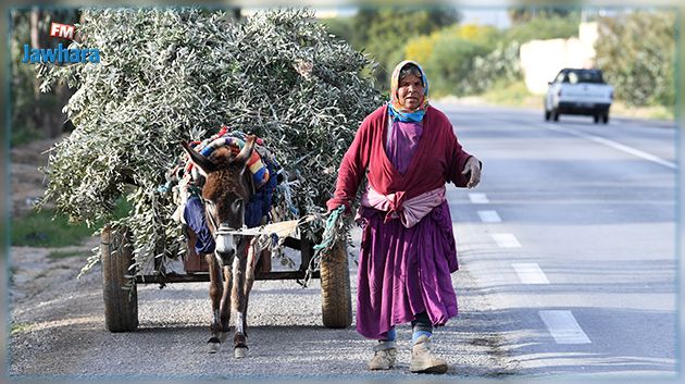النهضة تدعو إلى تفعيل القوانين الخاصة بالمرأة الريفية