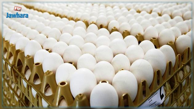 ممثل عن تجار الجملة: 