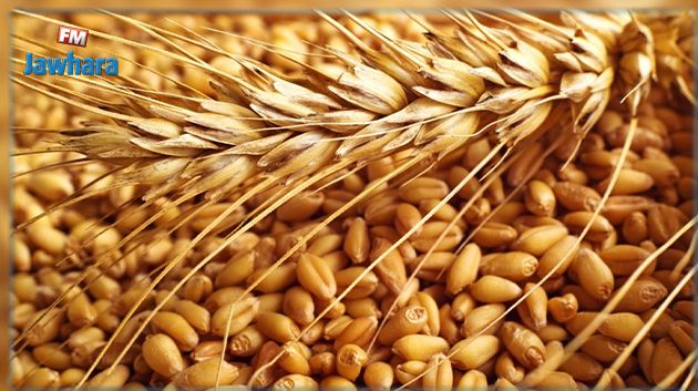 موانئ روسيا تستأنف تصدير القمح