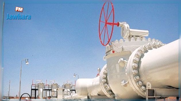 وزيرة الصناعة تنفي زيادة حصة تونس من الغاز الجزائري 