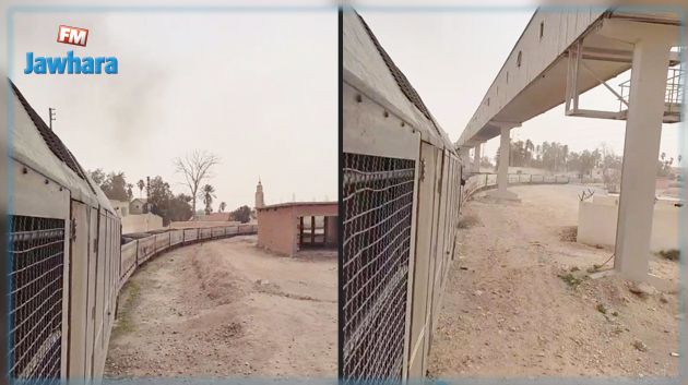 لأول مرة منذ 2017 : استئناف نقل الفسفاط على الخط 15