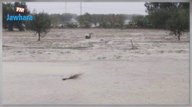 القيروان: إرتفاع منسوب المياه  وتسربها إلى عدد من المنازل