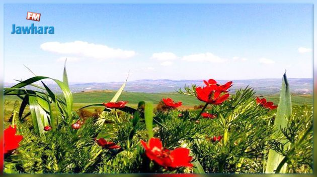 طقس اليوم الخميس 24 مارس 2022