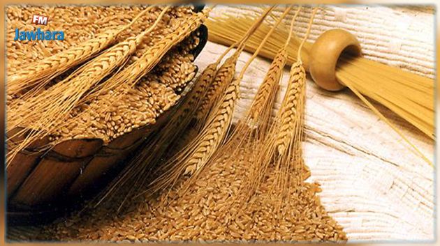 عبد المجيد الزار : ليس لنا إكتفاء ذاتي من الحبوب.. و إن شاء الله نفيقوا