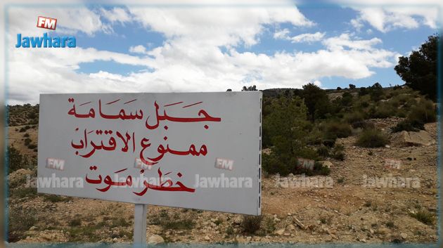 تفكيك خلية إسناد للعناصر الإرهابية بجبال القصرين