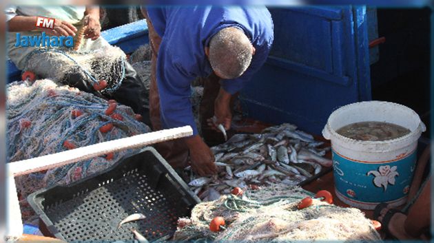 مدنين: ارتفاع صادرات منتوجات البحر خلال سنة 2021