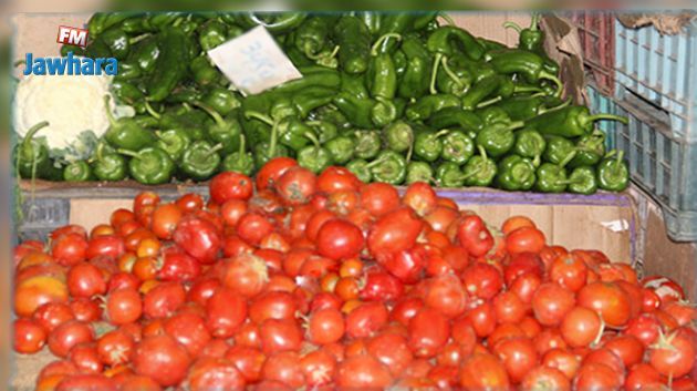 وزارة التجارة: بداية انفراج في أسعار الفلفل والطماطم والبطاطا بـ 5 ولايات