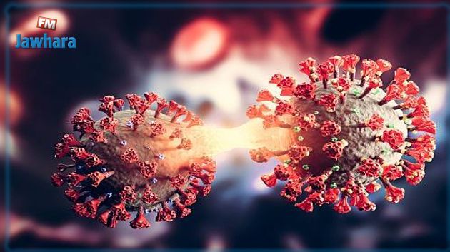 ظهور سلالة جديدة ذات تركيبة مزدوجة من كورونا : اللجنة العلمية تحذّر 