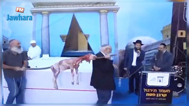 الرئاسة الفلسطينية تحذّر من تداعيات مخطط ليهود متطرّفين ذبح القرابين في الأقصى
