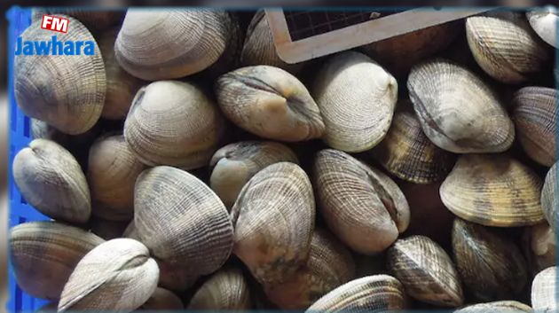 وزارة الفلاحة تُحذّر من ترويج الرّخويات الحيّة ذات الصدفتين بالأسواق التونسيّة