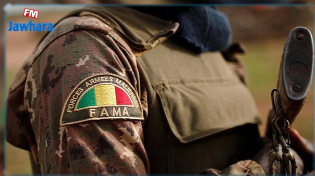 بينهم فرنسي-تونسي: الجيش المالي يقضي على 12 إرهابيًّا