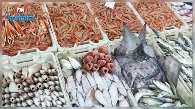 المرصد الوطني للفلاحة: ارتفاع صادرات منتوجات الصيد البحري
