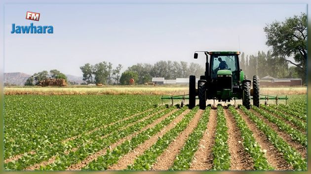 وكالة النهوض بالاستثمارات الفلاحية تصادق على 8 مشاريع بقيمة استثمارات جملية بلغت حوالي 22 مليون دينار