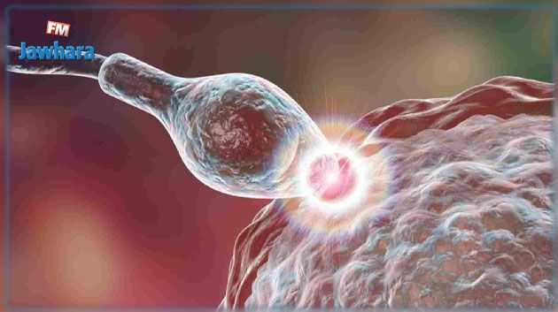 الدكتور حاتم الغزال: تقنية جديدة حققت نجاحا باهرا قد تعالج العُقم الكلي لدى الرجال والنساء