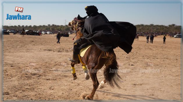 بعد نجاح الرالي: تنظيم تحدّي الخيول في عمق الصحراء التونسية
