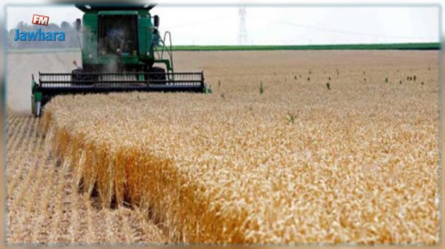 سليانة: اجراءات للتوقي من الحرائق إستعدادا لموسم الحصاد