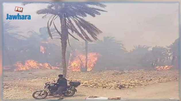 قابس: نشوب حريق بواحة الحامة (فيديو)