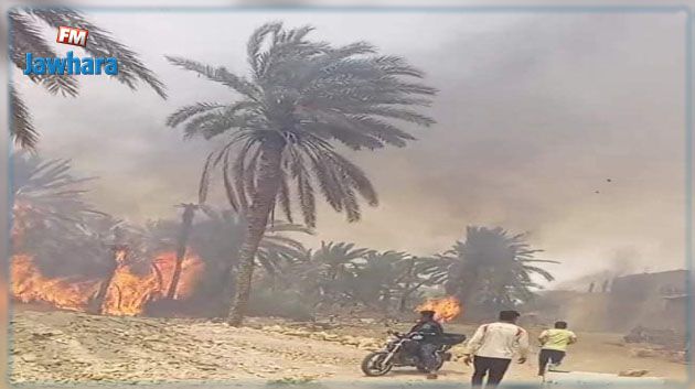 حامة قابس: مخاوف من وصول النيران إلى منطقة بوعطوش السكنية