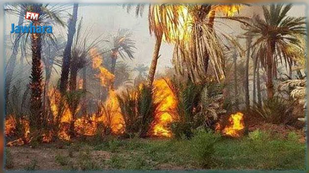 سلسلة الحرائق بقابس تتواصل: حريق جديد بواحات