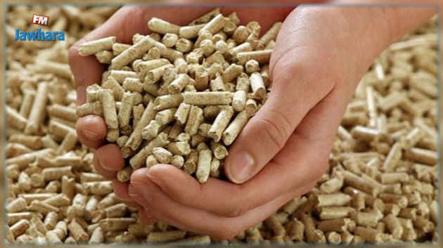 عبد المجيد الزار : غلاء أسعار الأعلاف 