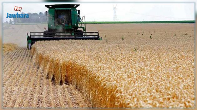 اتحاد الفلاحة : زيادة بأكثر من 30%من صابة الحبوب..ومخاوف من الحرائق