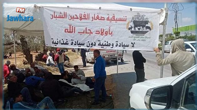 فلاّحو المهدية يقومون بنصب خيام أمام مركزية الألبان