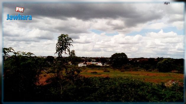 التوقعات الجويّة لليلة 