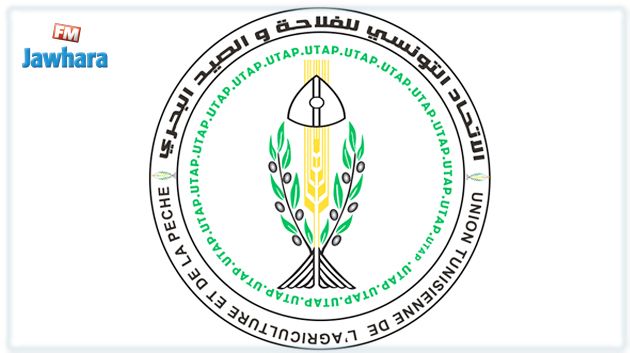 اتحاد الفلاحين: كامل منظومة تربية الماشية أصبحت مهددة بالانهيار