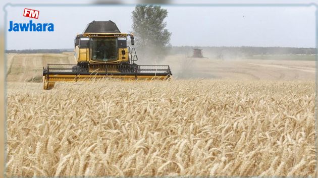 بعد تضرّر المحاصيل جرّاء الحر: الهند تحظر تصدير القمح