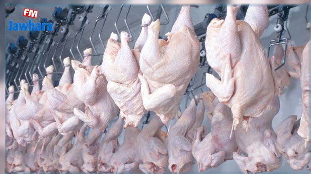 النفــزاوي : تراجع 