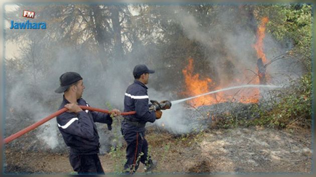جندوبة: السيطرة على حريق بإحدى مزارع الحبوب