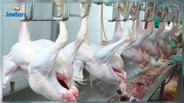 اصحاب مذابح الدواجن يدعون الى تفعيل المجامع المهنية تحسبا لتراجع الانتاج مع موفى جوان