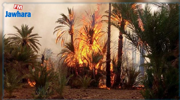 قابس: جهود متواصلة للسيطرة على حريق ضخم في واحة الدبدابة بالحامة