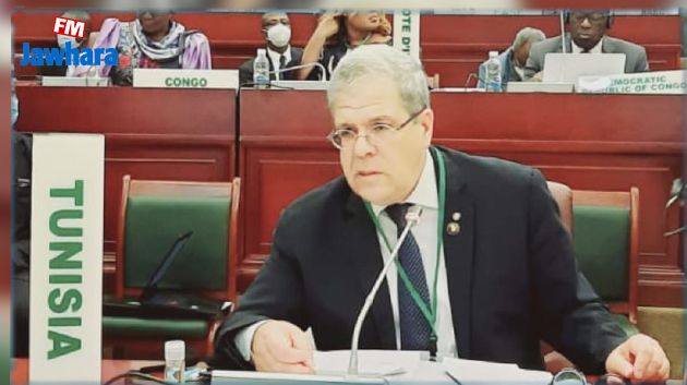 الجرندي يدعو إلى تضافر الجهود من أجل التصدي للأزمات التي تواجهها القارة الإفريقية