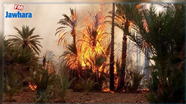 قابس : خسائر مادية كبيرة في حريق واحة الدبدابة بالحامة