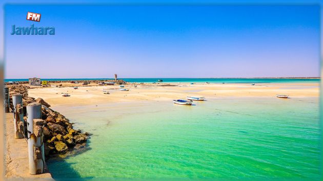 وزير السياحة: