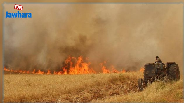 جندوبة: صاعقة رعدية تتسبّب في اندلاع حريق (صور)