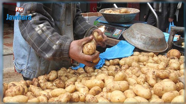 صابة البطاطا هذه السنة قادرة على تحقيق اكتفائنا الوطني لمدة 6 أشهر 