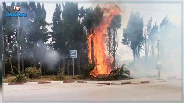 نابل: السيطرة على حريقين بسليمان وبني خلاد