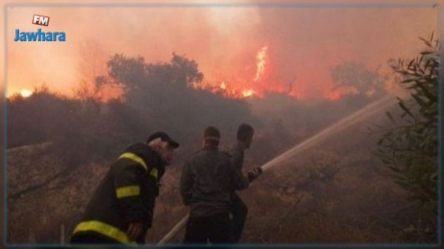 بنزرت: حريق بالغابة الشعراء بـ