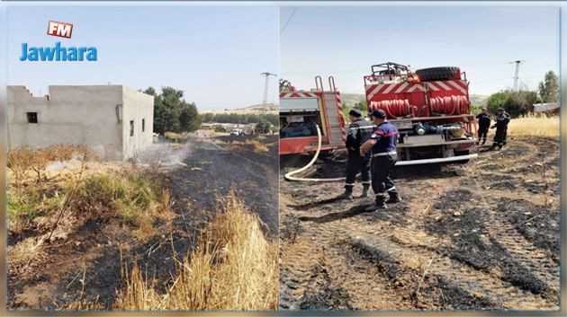 جندوبة : حريق بمزرعة قمح