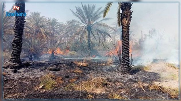 خلال الأيام العشر الأخيرة: تسجيل 11 حريقا في واحات قبلي