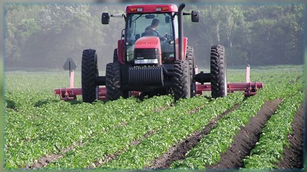 اللجنة الوطنية لإسناد الامتيازات تمنح 2.9 مليون دينار على شكل امتيازات لفائدة 7 مشاريع فلاحية