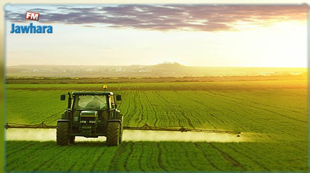 تسجيل تطوّر في الإستثمارات الفلاحية