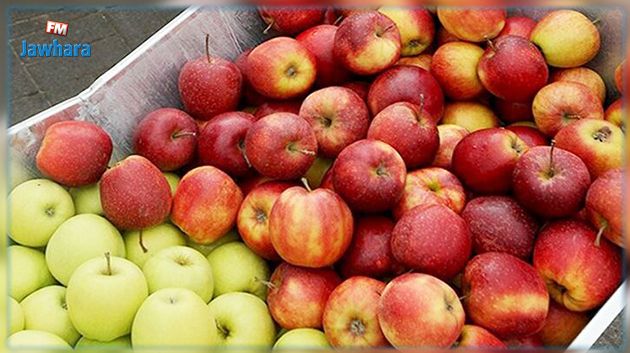 القصرين : تراجع صابــــة التفاح بحوالي 30 بالمئة مقارنة بالموسم الفارط