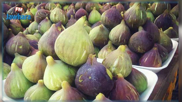 المهدية: إنتاج وفير من البيثر والكرموس