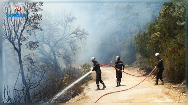 سليانة: السيطرة على حريق إندلع بأرض زراعية